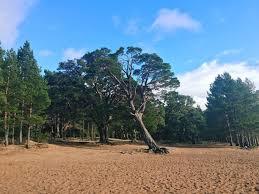 Loch Morlich Watersports